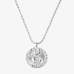 Zodiac Sign Necklace Silber - Steinbock