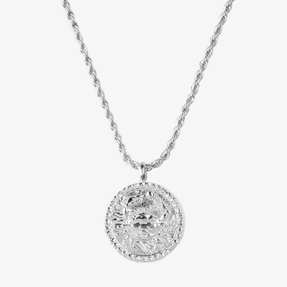 Zodiac Sign Necklace Silber - Steinbock