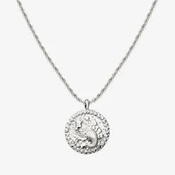 Zodiac Sign Necklace Silber - Steinbock