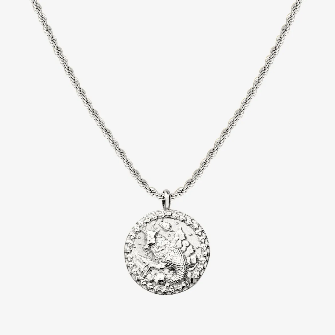 Zodiac Sign Necklace Silber - Steinbock
