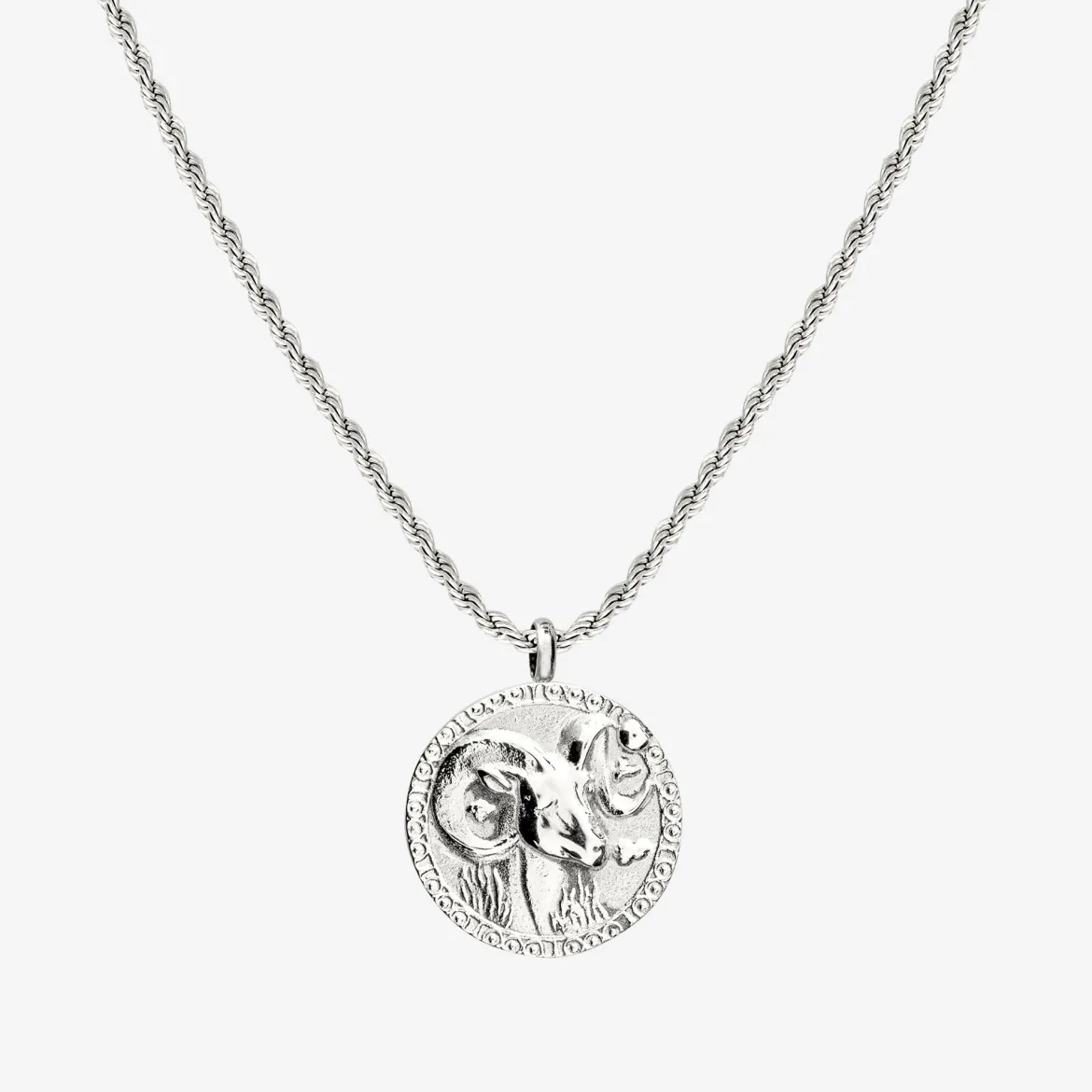 Zodiac Sign Necklace Silber - Steinbock