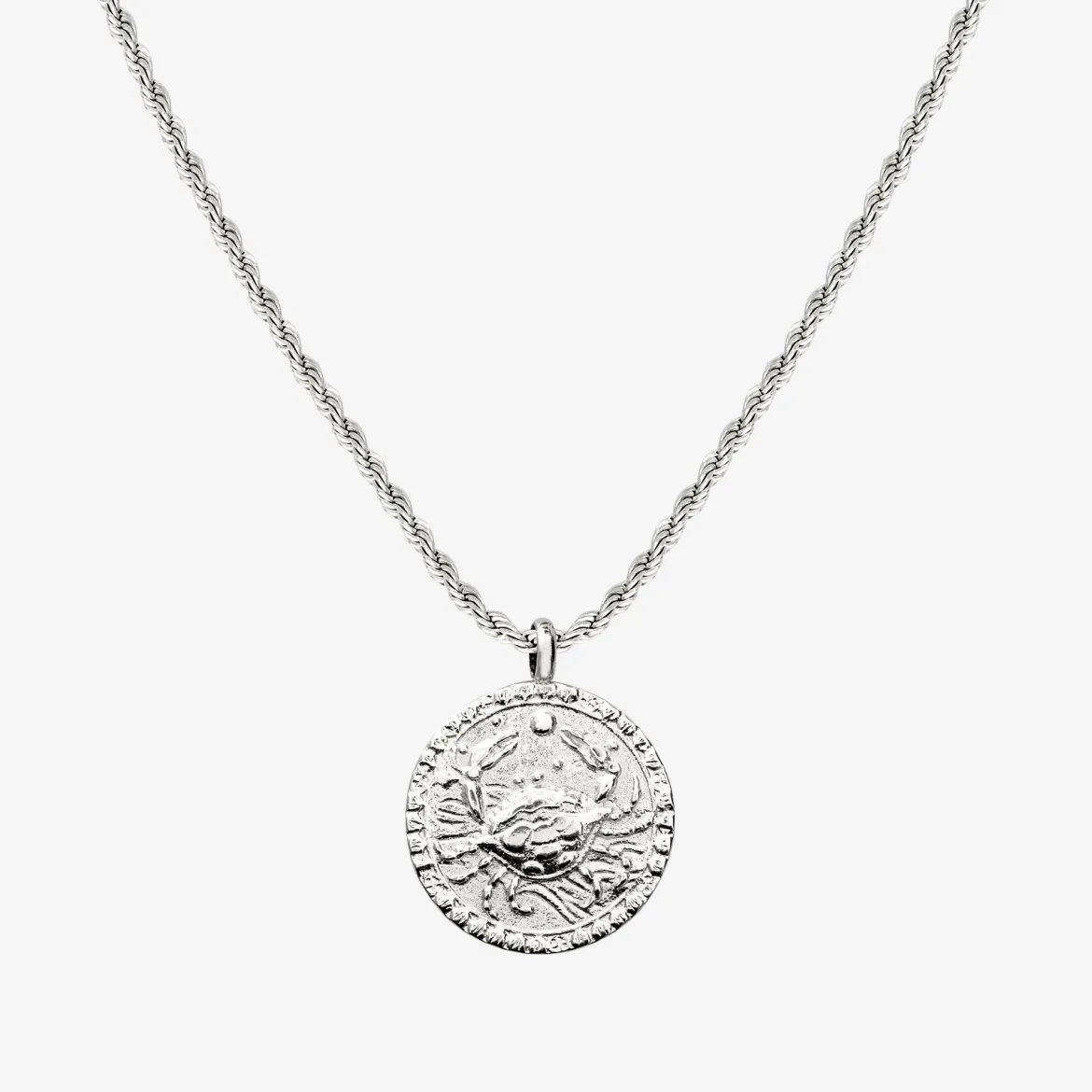 Zodiac Sign Necklace Silber - Steinbock