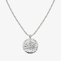 Zodiac Sign Necklace Silber - Steinbock