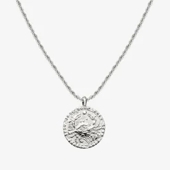 Zodiac Sign Necklace Silber - Steinbock