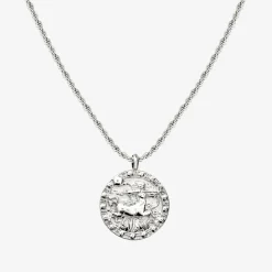 Zodiac Sign Necklace Silber - Steinbock