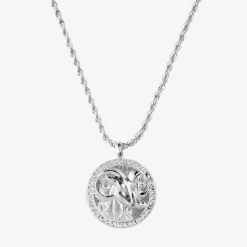Zodiac Sign Necklace Silber - Steinbock