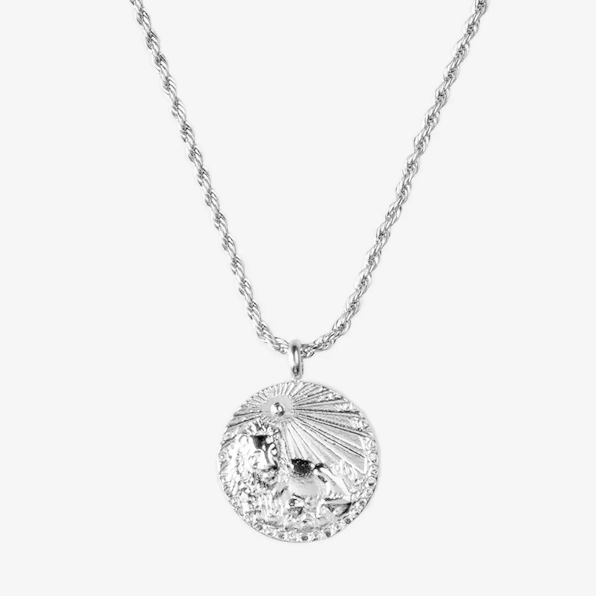 Zodiac Sign Necklace Silber - Steinbock