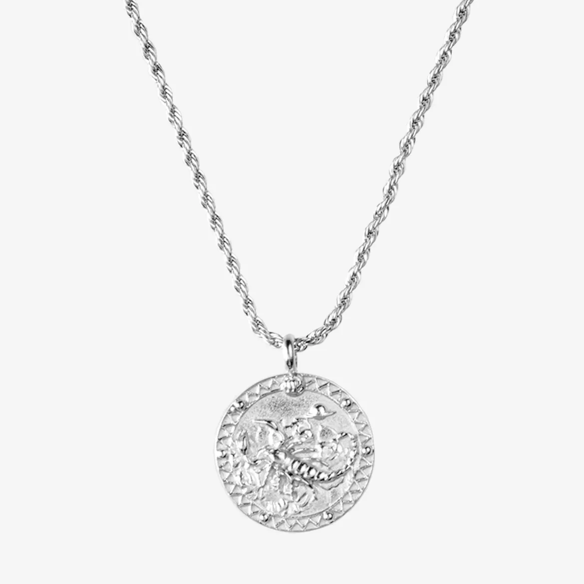 Zodiac Sign Necklace Silber - Steinbock